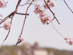 -颐和园