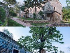 -南京市无想山景区