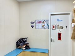 -美联众合爱康动物医院•复杂内科•肿瘤科•牙科•腔镜诊疗中心