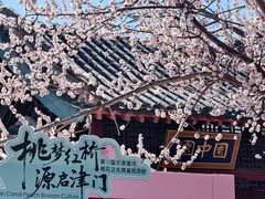 -桃花堤公园