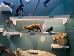 -国家自然博物馆