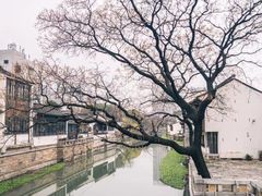 -青果巷历史文化街区