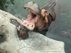 -灵玲国际马戏城