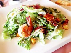 -Oyster Talks 四度蚝法餐厅