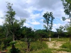 -呼吸森林·生态农庄农家乐私房菜