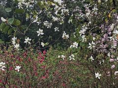 -南国桃园旅游度假区