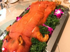 -深圳湾木棉花酒店