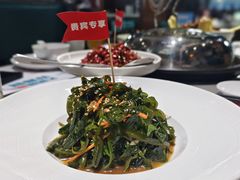 -大锅强·蒸海鲜青岛菜(吾悦广场店)