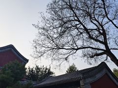 -莲池书院博物馆