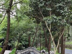 -东明山森林公园