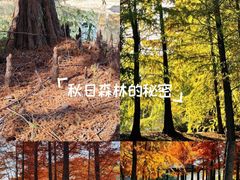 -梁鸿国家湿地公园