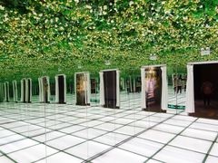 -印象莫奈时光映迹艺术展