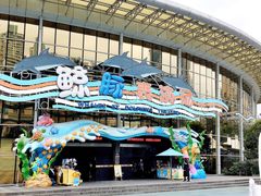 -海合安成都极地海洋公园