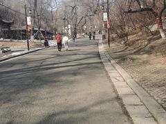 -北山公园