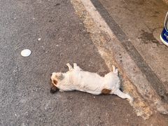 -白沙古井