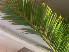 -长春藤咖啡(北园店)