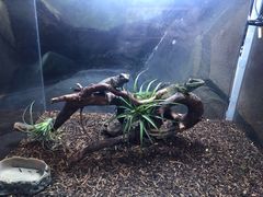 -梦幻海洋王国(吾悦广场张家港店)