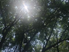 -天鹅湖体育公园