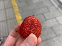 -雪儿钱局泡菜