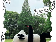 -宝岩生态观光园