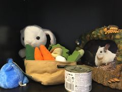 -藦茜花园宠物主题亲子互动体验馆(国顺东路店)