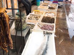 海鲜-新享乐海鲜(翠华路店)
