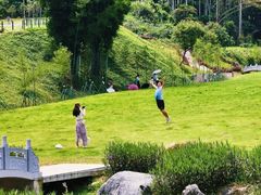 -黄埔油麻山森林公园