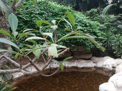 -龙达温泉生态城