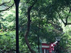 -广州市白云山风景名胜区