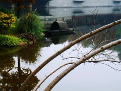 -重庆彩云湖湿地公园