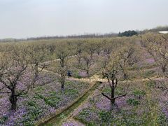 -江苏三台山国家森林公园
