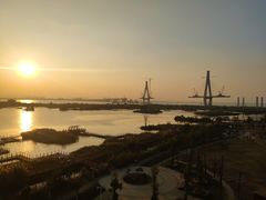 -芒洲湿地公园