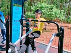 -朝阳公园游乐园