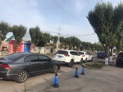 -马白开来特色羊排揪片子  (总店)