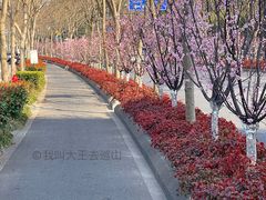 -新江湾城公园