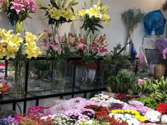 -双季花艺园艺市场(浦东店)