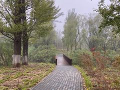 -翠湖国家城市湿地公园