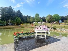 -铁山坪森林公园