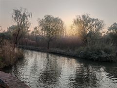 -溱湖国家湿地公园