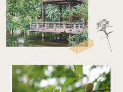 -浙江西子宾馆·牡丹厅