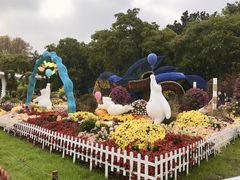 -上海共青森林公园