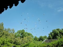 -西园戒幢律寺