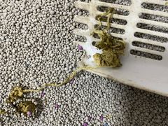 -圣宠动物医院·犬猫专科·影像中心·外科中心