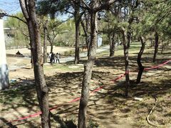 -元大都城垣遗址公园