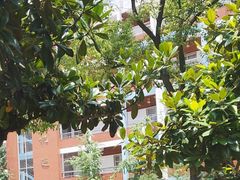 -武汉市洪山区卓刀泉小学