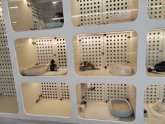 -comecome来吧宠物(奥克斯中心店)