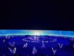 -鼎盛王朝康熙大典实景演出