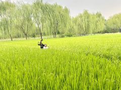 -北坞公园