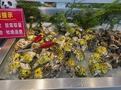 -春华海鲜城(广场西苑店)