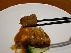 -觀芷隐轩